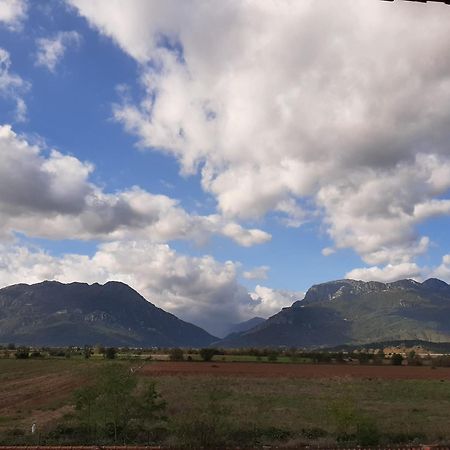 Αρχοντικό Παπανικολάου Villa Ligaria  Екстериор снимка