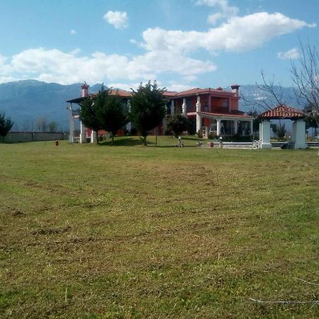 Αρχοντικό Παπανικολάου Villa Ligaria  Екстериор снимка
