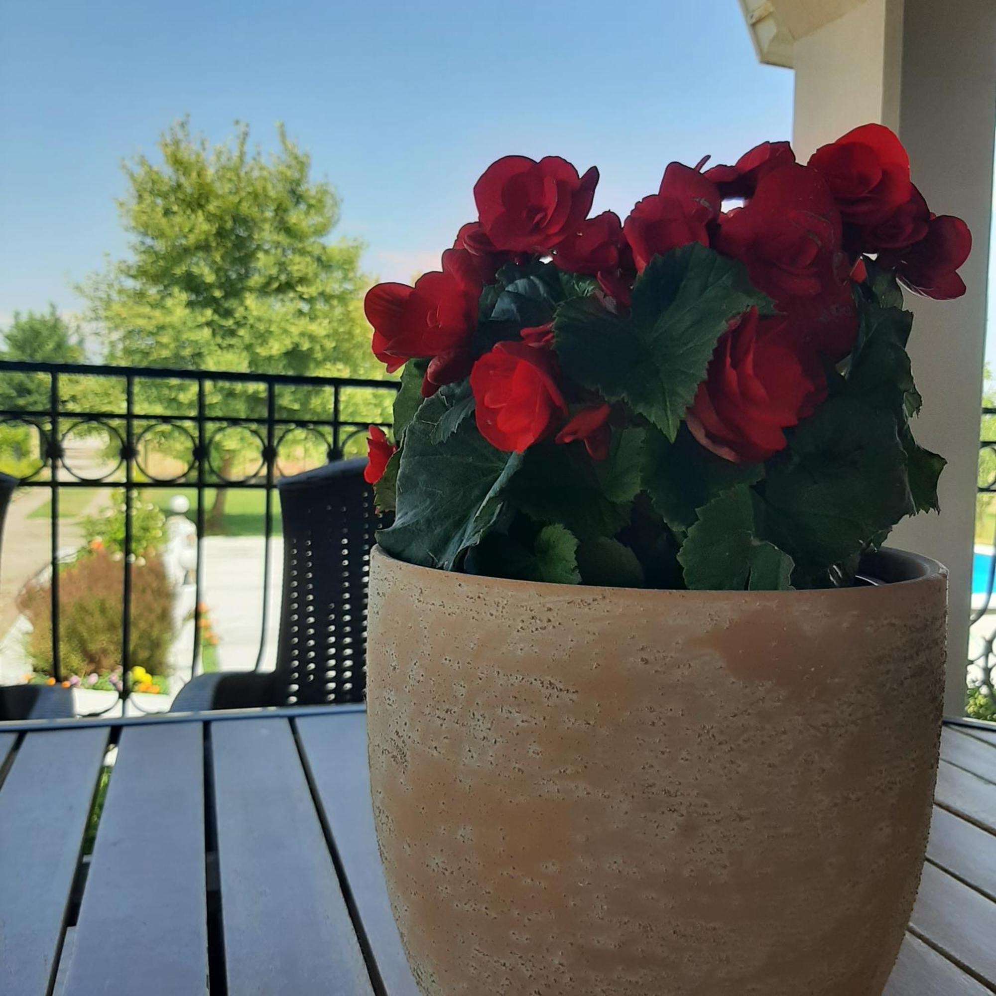 Αρχοντικό Παπανικολάου Villa Ligaria  Екстериор снимка