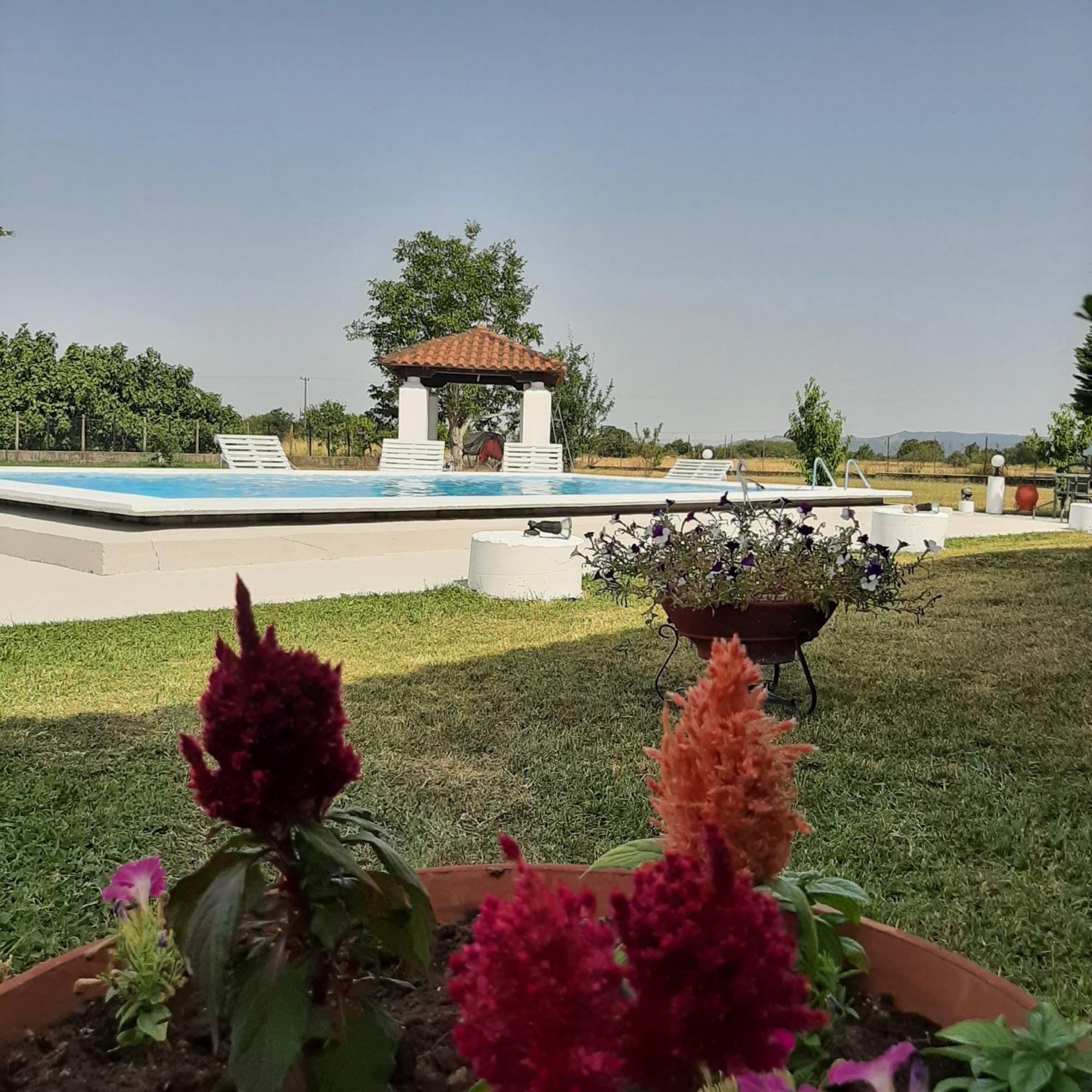 Αρχοντικό Παπανικολάου Villa Ligaria  Екстериор снимка